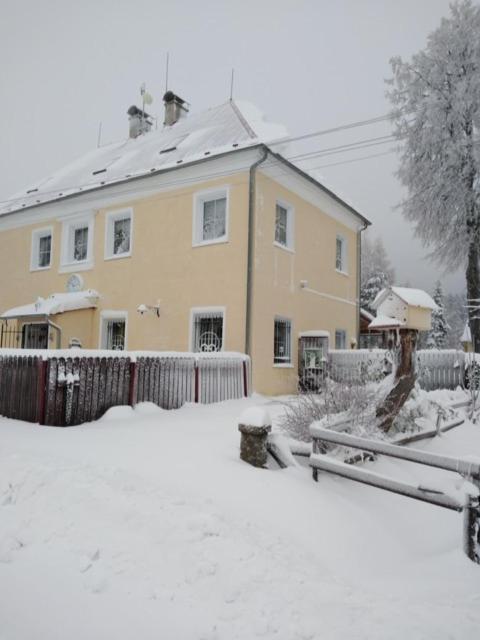 Novy Den